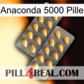 Anaconda 5000 Pill cialis2